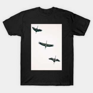 Three Common Cranes Flying in Midair From Below T-Shirt